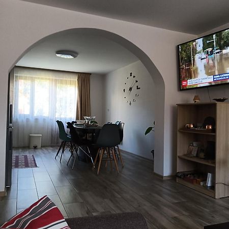 Appartement Casa Cerbului à Vişeu de Sus Extérieur photo