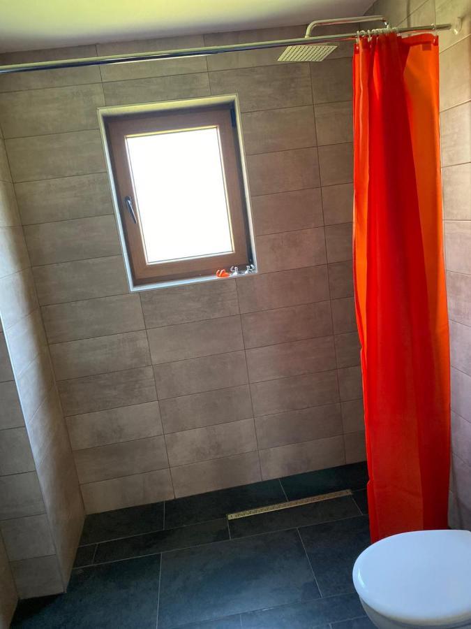 Appartement Casa Cerbului à Vişeu de Sus Extérieur photo