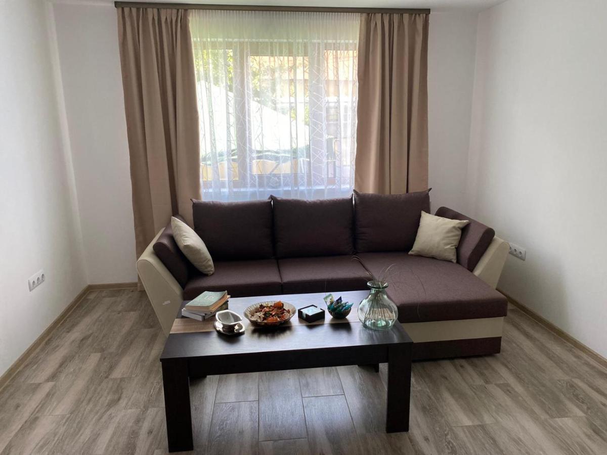Appartement Casa Cerbului à Vişeu de Sus Extérieur photo