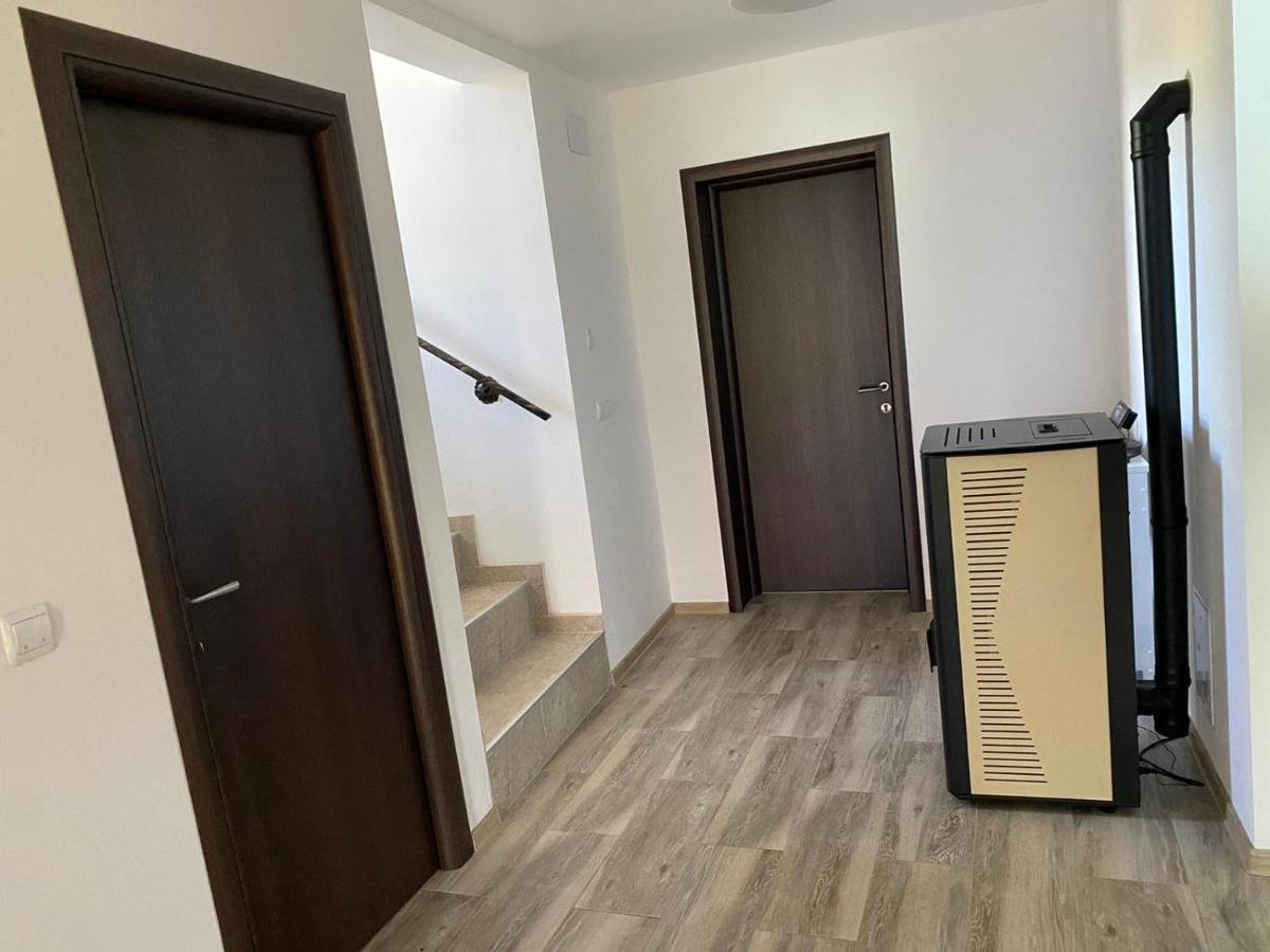 Appartement Casa Cerbului à Vişeu de Sus Extérieur photo