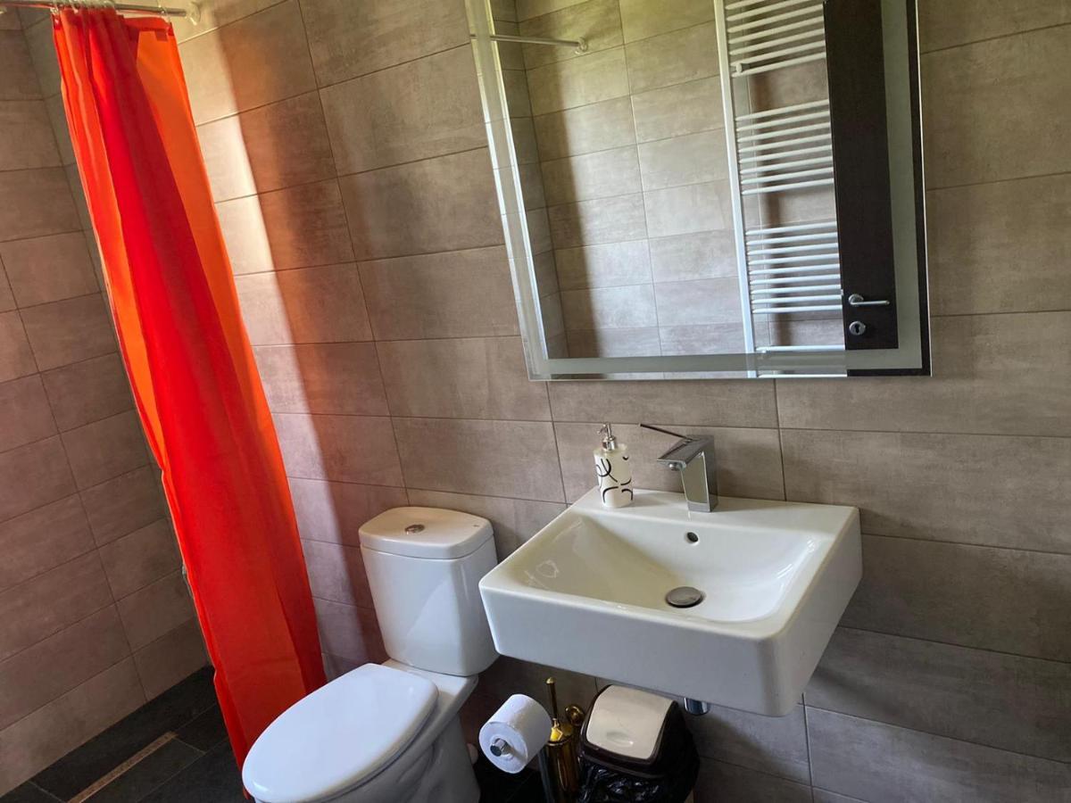 Appartement Casa Cerbului à Vişeu de Sus Extérieur photo