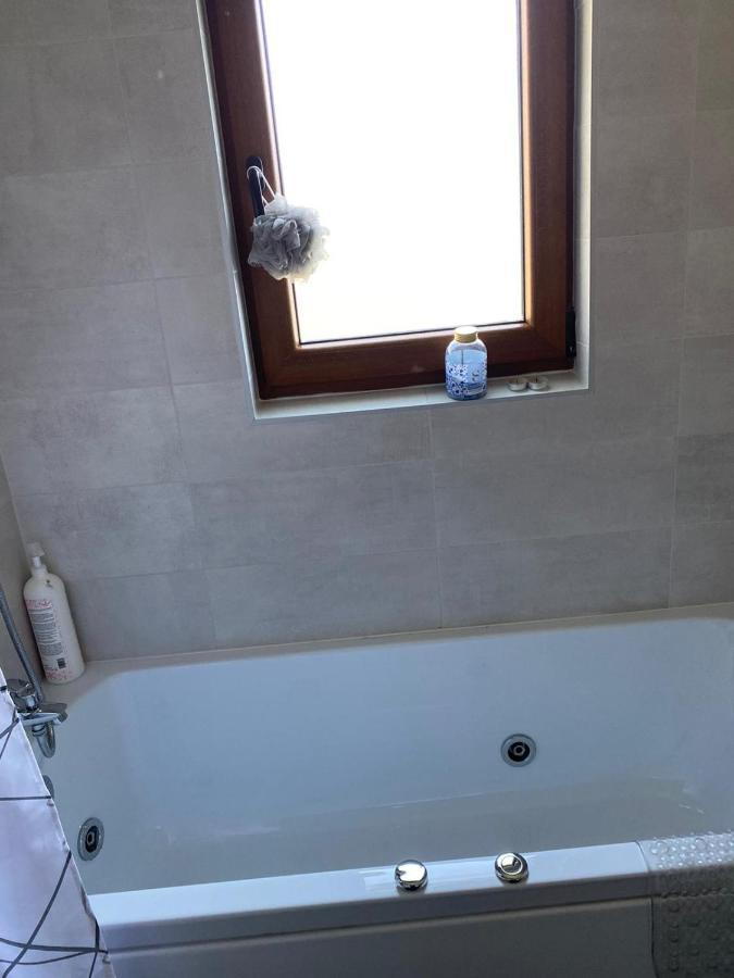 Appartement Casa Cerbului à Vişeu de Sus Extérieur photo