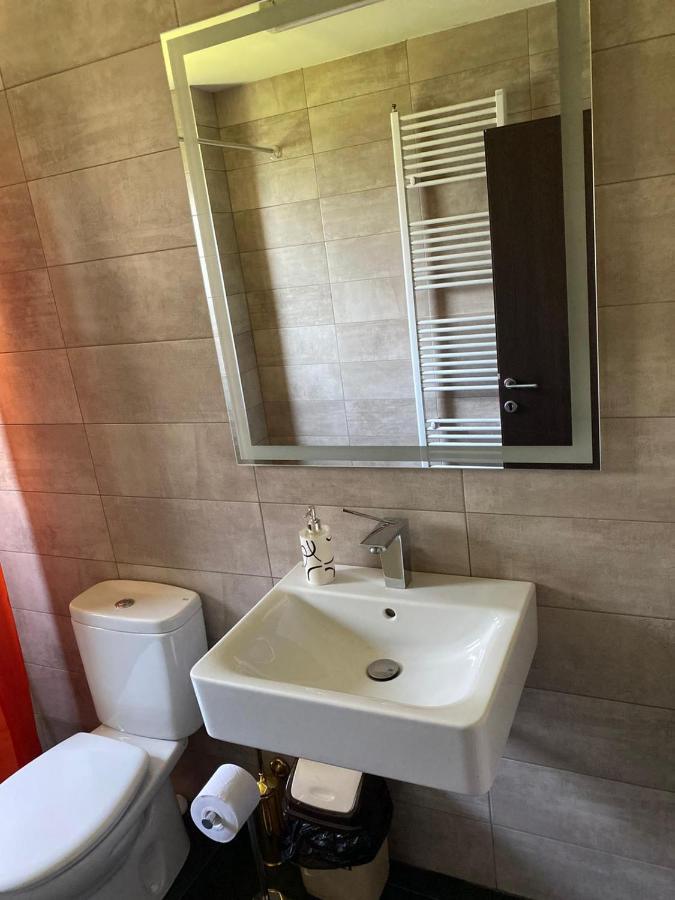 Appartement Casa Cerbului à Vişeu de Sus Extérieur photo