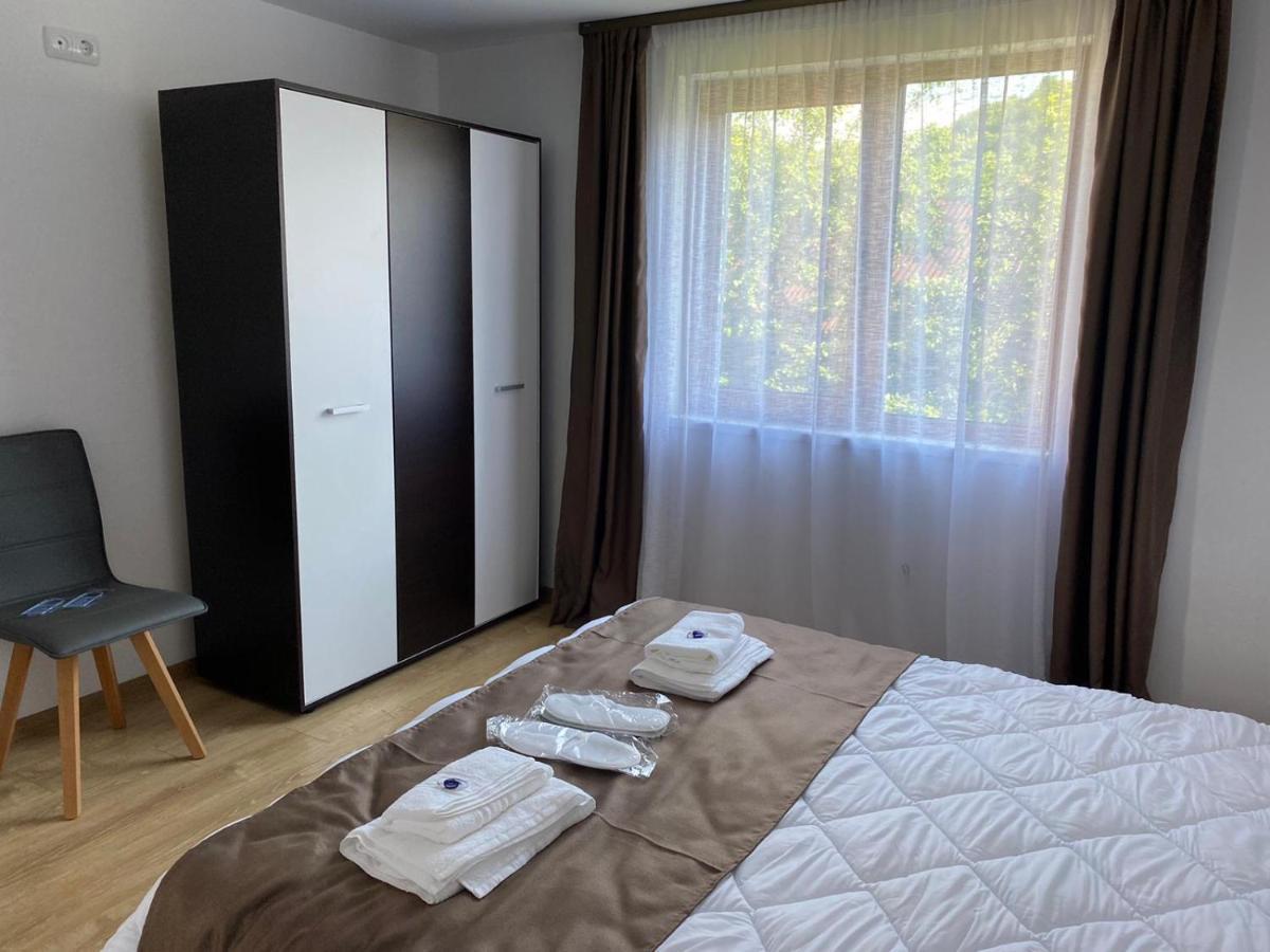 Appartement Casa Cerbului à Vişeu de Sus Extérieur photo