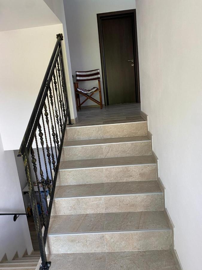 Appartement Casa Cerbului à Vişeu de Sus Extérieur photo