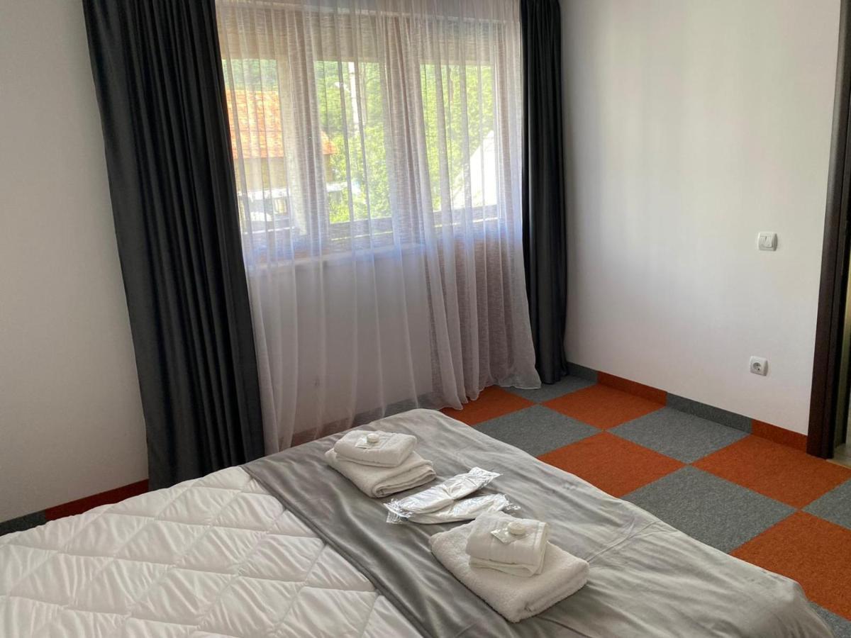 Appartement Casa Cerbului à Vişeu de Sus Extérieur photo